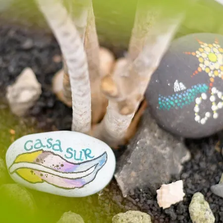 Vakantiehuis Casa Sur, *
